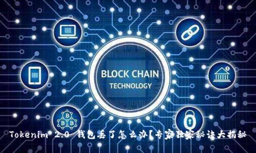 Tokenim 2.0 钱包丢了怎么办？专家独家秘诀大揭秘