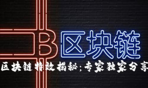 比特币区块链特效揭秘：专家独家分享的秘诀