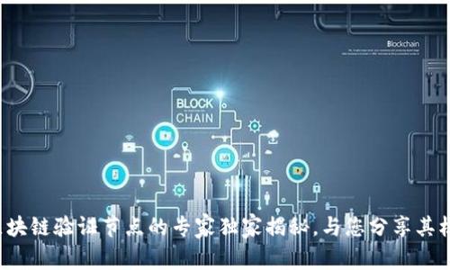 亚马逊区块链验证节点的专家独家揭秘，与您分享其核心秘诀！