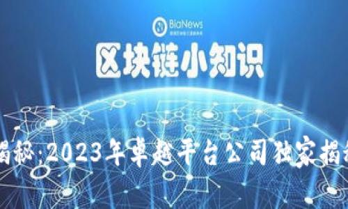 区块链专家揭秘：2023年卓越平台公司独家揭秘与秘诀分享