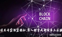 成都区块链项目专家独家揭秘，深入探索成都市