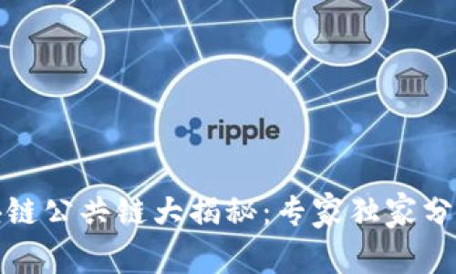 全球区块链公共链大揭秘：专家独家分享的秘诀