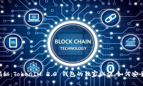专家揭秘：TokenIM 2.0 钱包的独家秘诀，如何安全提币！