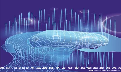专家揭秘：2023年区块链平台公司独家推荐与成功秘诀