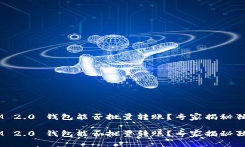 TokenIM 2.0 钱包能否批量转账？专家揭秘独家秘诀！

TokenIM 2.0 钱包能否批量转账？专家揭秘独家秘诀！