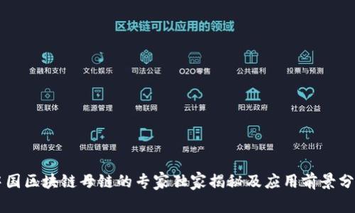 中国区块链母链的专家独家揭秘及应用前景分析