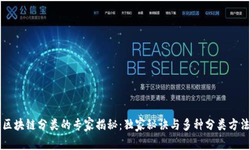 区块链分类的专家揭秘：独家秘诀与多种分类方法