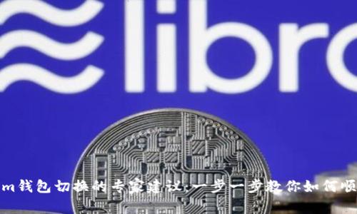 Tokenim钱包切换的专家建议：一步一步教你如何顺利切换