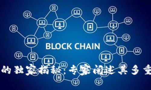 区块链地址的独家揭秘：专家阐述其多重作用和秘诀