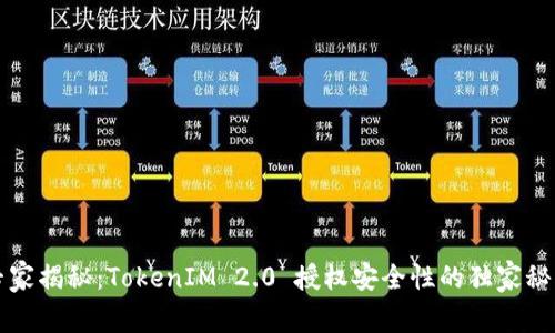 专家揭秘：TokenIM 2.0 授权安全性的独家秘诀