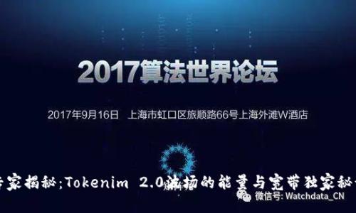 专家揭秘：Tokenim 2.0波场的能量与宽带独家秘诀