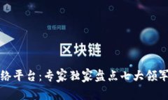 揭秘区块链网络平台：专家独家盘点七大领军企