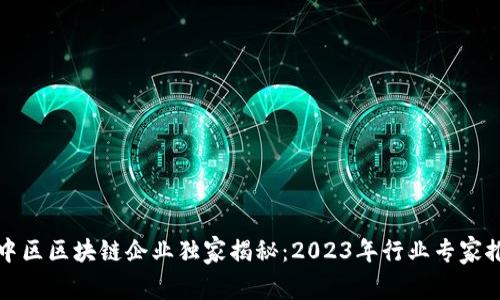 渝中区区块链企业独家揭秘：2023年行业专家推荐