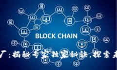 新加坡区块链大厂：揭秘专家独家秘诀，探索未