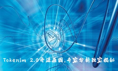 Tokenim 2.0开源原因，专家分析独家揭秘
