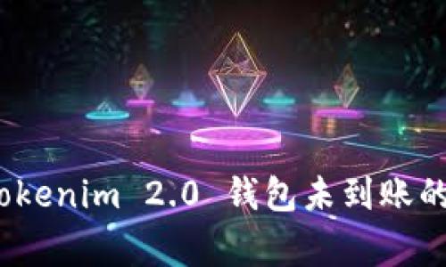 专家独家揭秘：Tokenim 2.0 钱包未到账的原因与解决秘诀