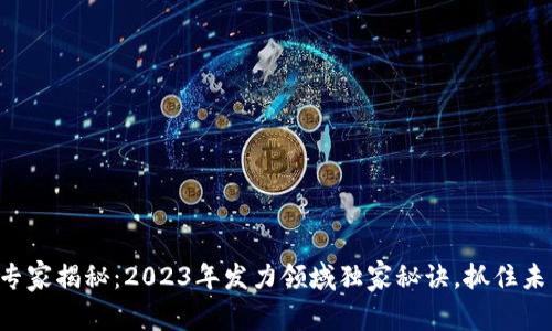 区块链专家揭秘：2023年发力领域独家秘诀，抓住未来趋势！