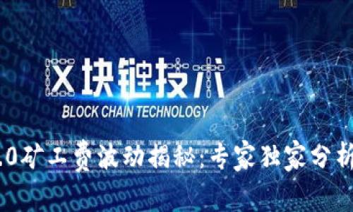 Tokenim 2.0矿工费波动揭秘：专家独家分析与秘诀分享