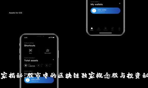 专家揭秘：股市中的区块链独家概念股与投资秘诀