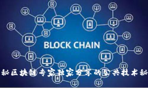 揭秘区块链专家独家分享的公共技术秘诀
