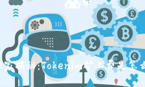专家独家揭秘：Tokenim矿工费是怎么算的？