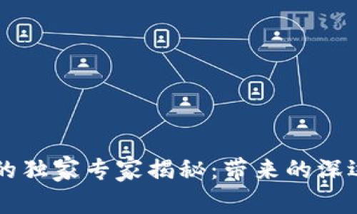 区块链支付系统的独家专家揭秘：带来的深远影响与未来展望