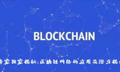 专家独家揭秘：区块链网络的应用及潜力揭示