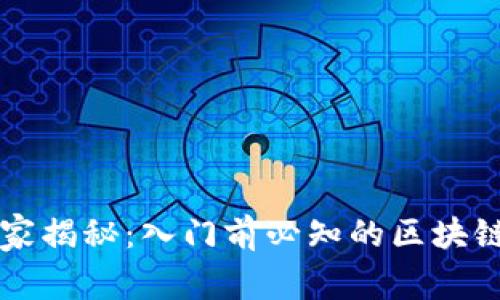 区块链专家独家揭秘：入门前必知的区块链前置知识秘诀