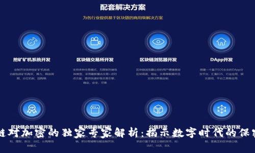区块链对加密的独家专家解析：揭示数字时代的保密秘诀