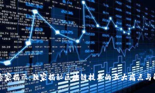 区块链专家揭示：独家揭秘区块链技术的五大痛点与解决秘诀
