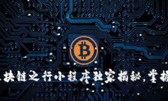 专家解析：区块链之行小程序独家揭秘，掌握这