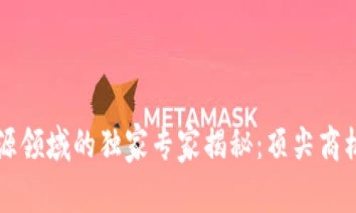 区块链新能源领域的独家专家揭秘：顶尖商机与投资秘诀