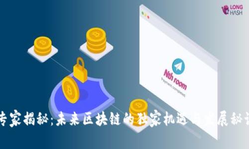 专家揭秘：未来区块链的独家机遇与发展秘诀