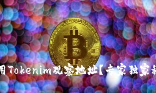 如何使用Tokenim观察地址？专家独家秘诀分享