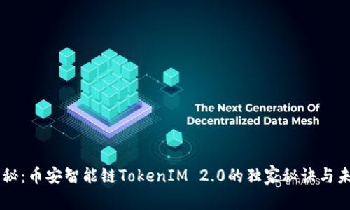 专家揭秘：币安智能链TokenIM 2.0的独家秘诀与未来展望