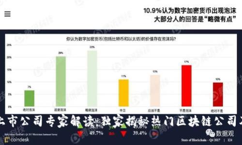 区块链领域上市公司专家解读：独家揭秘热门区块链公司及其发展历程