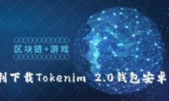 专家揭秘：如何顺利下载Tokenim 2.0钱包安卓专用版