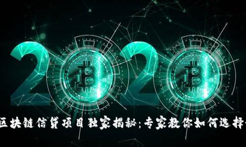 2023年最新区块链信贷项目独家揭秘：专家教你如何选择最适合的类型