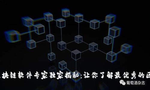 2023年高速区块链软件专家独家揭秘：让你了解最优秀的区块链解决方案
