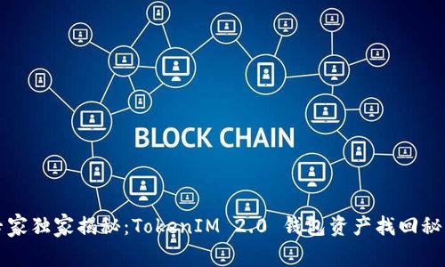 专家独家揭秘：TokenIM 2.0 钱包资产找回秘诀