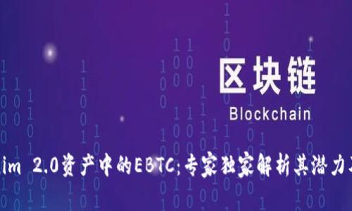 揭秘Tokenim 2.0资产中的EBTC：专家独家解析其潜力及投资秘诀