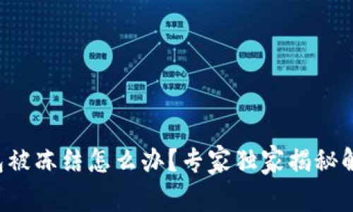 波币钱包被冻结怎么办？专家独家揭秘解决秘诀！