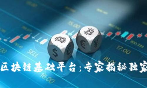 税务区块链基础平台：专家揭秘独家秘诀