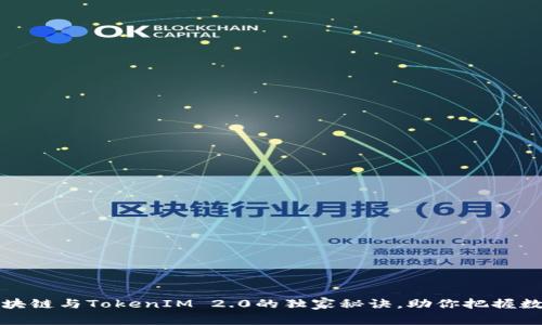 专家揭秘：区块链与TokenIM 2.0的独家秘诀，助你把握数字资产未来！
