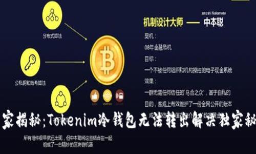 专家揭秘：Tokenim冷钱包无法转出解决独家秘诀