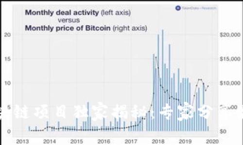 2023年国内区块链项目独家揭秘：专家分享最新趋势与秘诀!