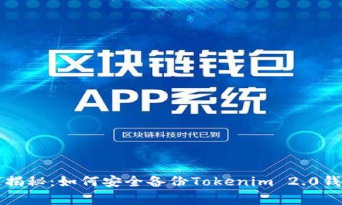 专家独家揭秘：如何安全备份Tokenim 2.0钱包的秘诀