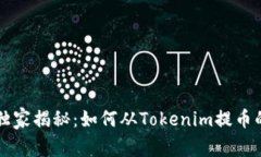 专家独家揭秘：如何从Tokenim提币的秘诀