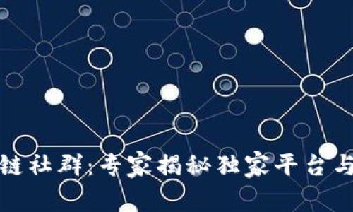 德州区块链社群：专家揭秘独家平台与发展秘诀
