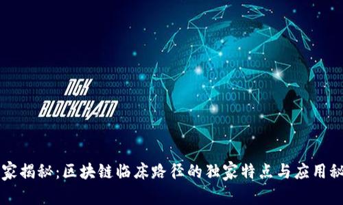 专家揭秘：区块链临床路径的独家特点与应用秘诀